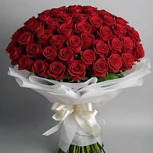 Букет 101 Красная роза Блэк Мэджик в Светлые Горы