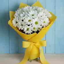 Букет цветов из:  Хризантемы в Светлые Горы