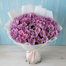 Букет цветов из:  Хризантемы в Светлые Горы