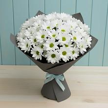 Букет цветов из:  Хризантемы #REPLACE_PRED# Светлые Горы