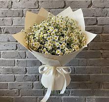 Букет цветов из:  Ромашки в Светлые Горы