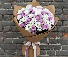 Букет цветов из:  Хризантемы в Светлые Горы