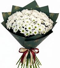 Букет цветов из:  Хризантемы в Светлые Горы