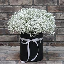 Цветочная композиция из Гипсофила в шляпной коробке #REPLACE_PRED# Светлые Горы