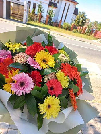 Букет цветов из: Герберы в Светлые Горы