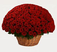 Премиум букет из: Розы #REPLACE_PRED# Светлые Горы